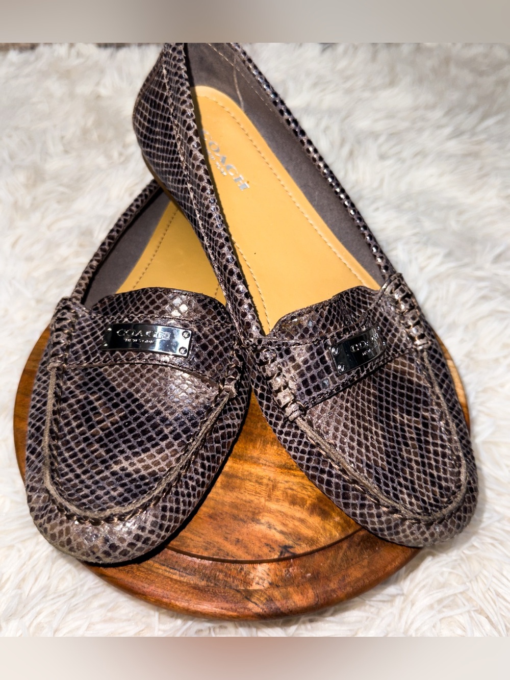 Coach Brown Snake-Print Leather Loafers with Branded Plaque